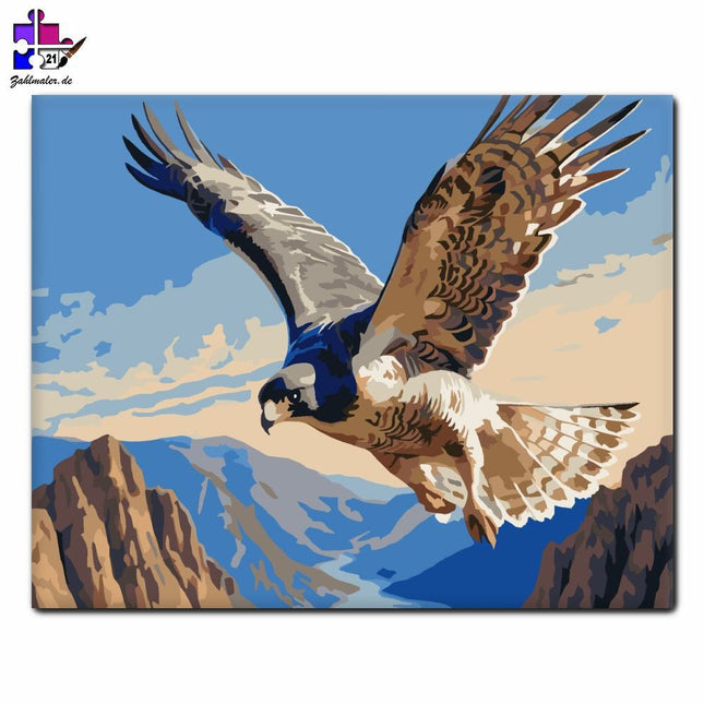 Wanderfalke in den Highlands | Malen nach Zahlen-Zahlmaler.de