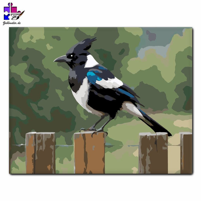 Die Elster am Zaun | Malen nach Zahlen-Zahlmaler.de