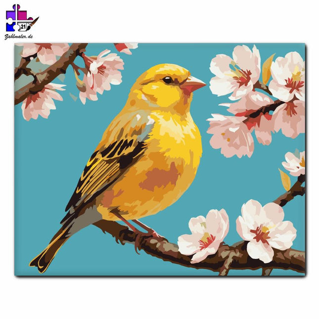 Gelber Kanarienvogel auf dem Kirschblütenzweig | Malen nach Zahlen-Zahlmaler.de