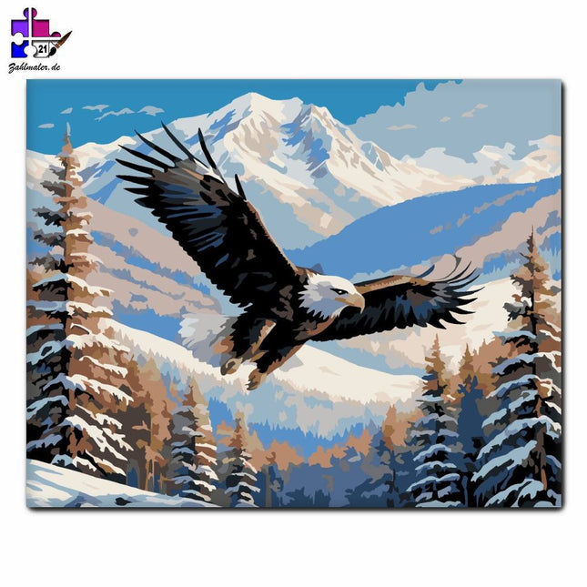 Weißkopf-Rotkehlchen in der Winterlandschaft | Malen nach Zahlen-Zahlmaler.de