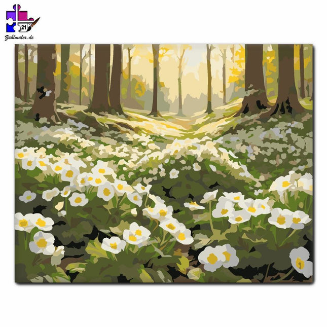 Primeln im Waldreservat | Malen nach Zahlen-Zahlmaler.de