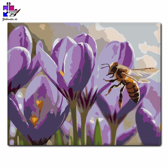 Biene am Frühlingskrokus | Malen nach Zahlen-Zahlmaler.de