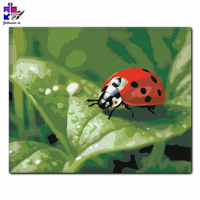 Marienkäfer in der Frühlingssuppe | Malen nach Zahlen-Zahlmaler.de
