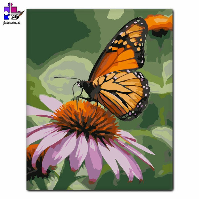 Orange Schwarz Schmetterling Lila auf Pfingstrosen | Malen nach Zahlen-Zahlmaler.de