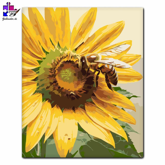 Biene in Napraforgón | Malen nach Zahlen-Zahlmaler.de