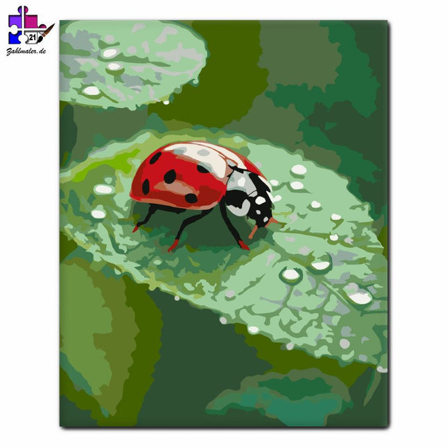 Roter Marienkäfer auf harmlosem Boden | Malen nach Zahlen-Zahlmaler.de