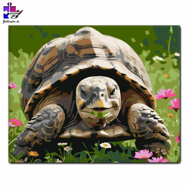 Lächelnde Schildkröte zwischen Wildblumen | Malen nach Zahlen-Zahlmaler.de