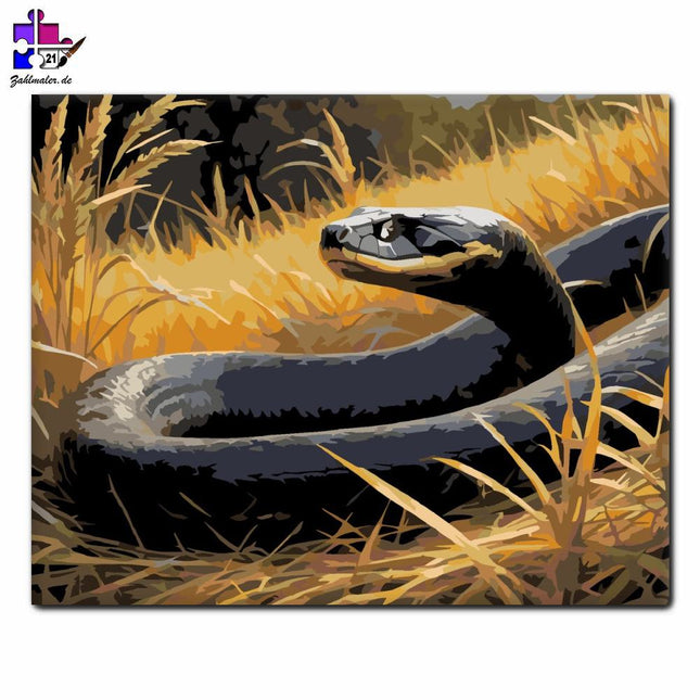 Schwarze Mamba in der Savanne | Malen nach Zahlen-Zahlmaler.de