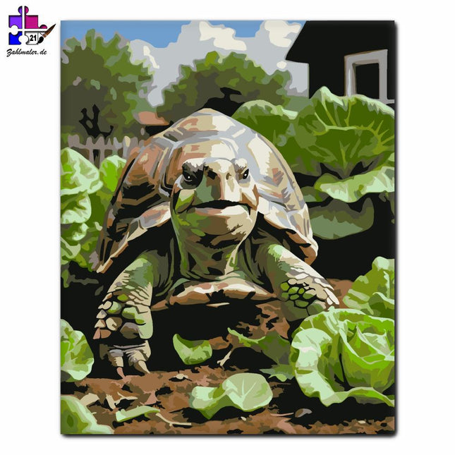Lächelnde Schildkröte im Garten | Malen nach Zahlen-Zahlmaler.de