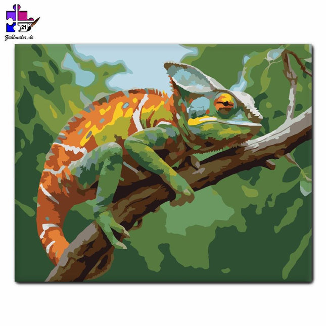 Buntes Chamäleon Agon | Malen nach Zahlen-Zahlmaler.de