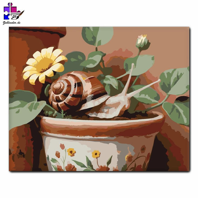 Schnecke Terracotta in Cserépen | Malen nach Zahlen-Zahlmaler.de
