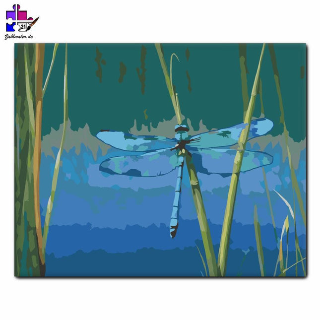 Blaue Libelle im Schilf | Malen nach Zahlen-Zahlmaler.de