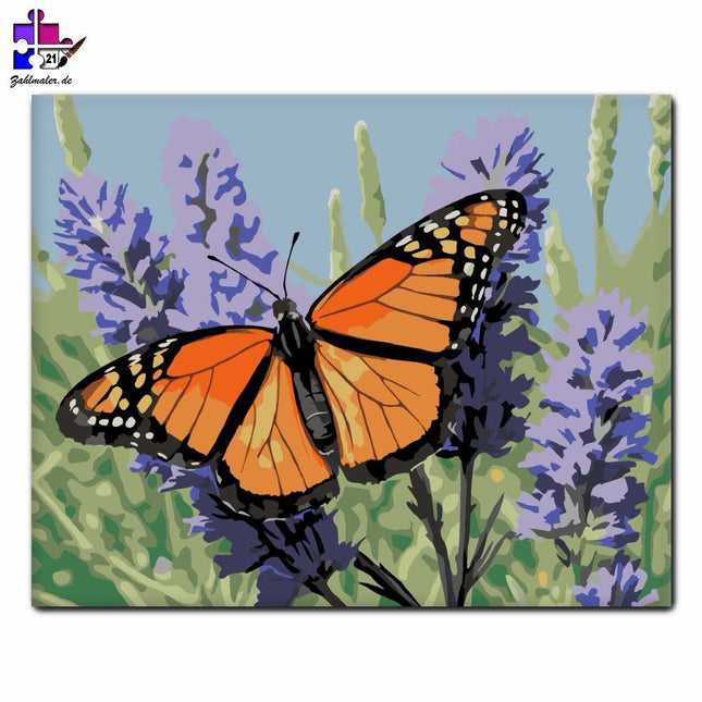 Monarchfalter auf Lavendel | Malen nach Zahlen-Zahlmaler.de