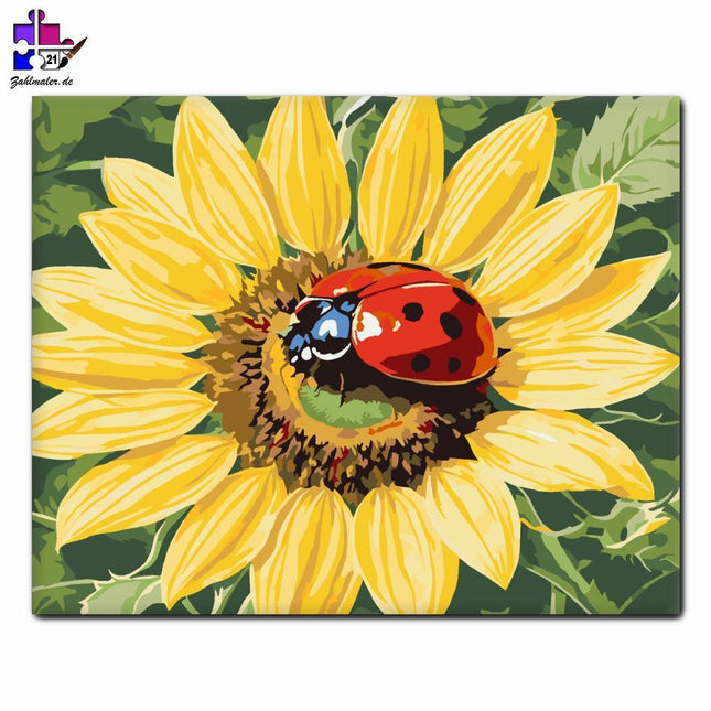 Marienkäfer ruht auf Sonnenblume | Malen nach Zahlen-Zahlmaler.de