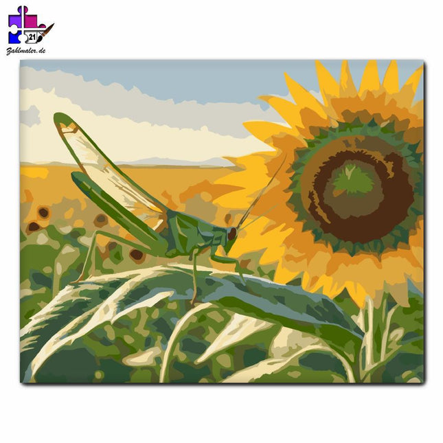Grüner Grashüpfer auf Sonnenblume | Malen nach Zahlen-Zahlmaler.de