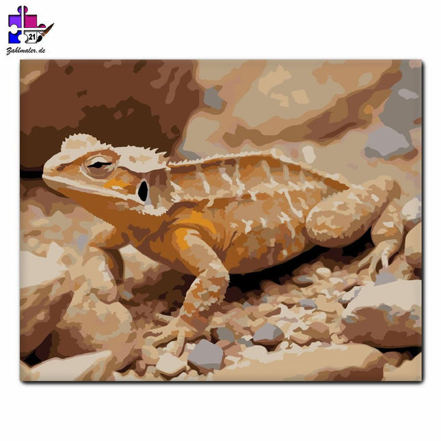 Winzige Horneidechse in der Wüste | Malen nach Zahlen-Zahlmaler.de