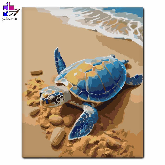 Winzige Schildkröte am Strand | Malen nach Zahlen-Zahlmaler.de