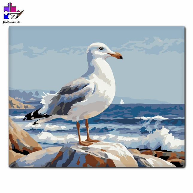 Möwen an der felsigen Küste | Malen nach Zahlen-Zahlmaler.de