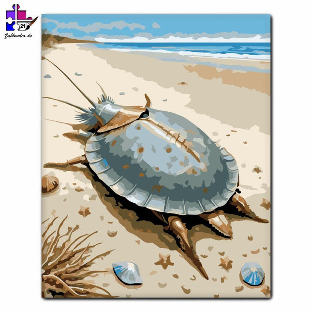 Ratten an der Küste | Malen nach Zahlen-Zahlmaler.de