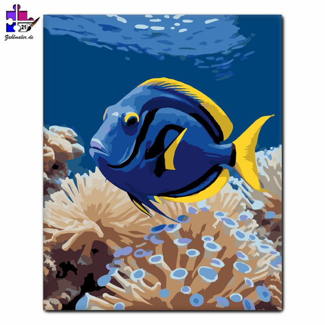 Blauer Tangfisch unter Korallen | Malen nach Zahlen-Zahlmaler.de
