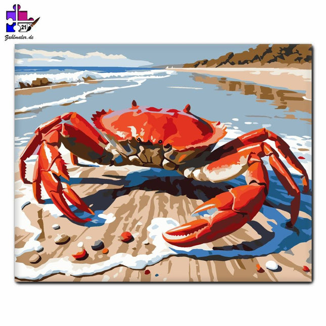 Rote Krabbe an der Sunshine Coast | Malen nach Zahlen-Zahlmaler.de