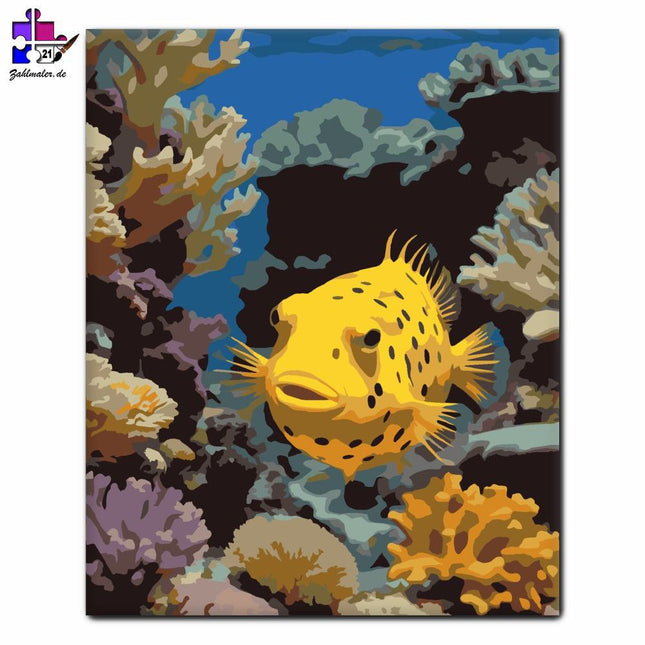 Gepunkteter Trommelfisch am Korallenriff | Malen nach Zahlen-Zahlmaler.de