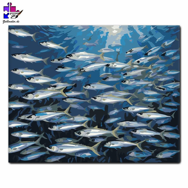 Sardine in Spirale | Malen nach Zahlen-Zahlmaler.de