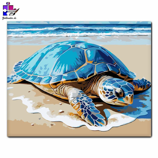 Winzige Meeresschildkröte am Strand | Malen nach Zahlen-Zahlmaler.de