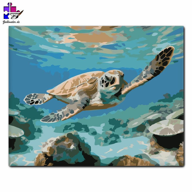 Abenteuer junge Meeresschildkröte | Malen nach Zahlen-Zahlmaler.de