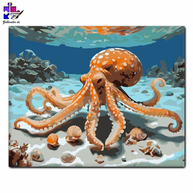 Neugieriger Oktopus und Muscheln | Malen nach Zahlen-Zahlmaler.de
