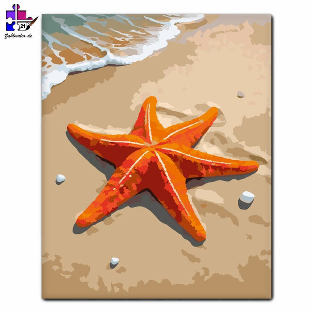 Sonnige Seesterne am Strand | Malen nach Zahlen-Zahlmaler.de