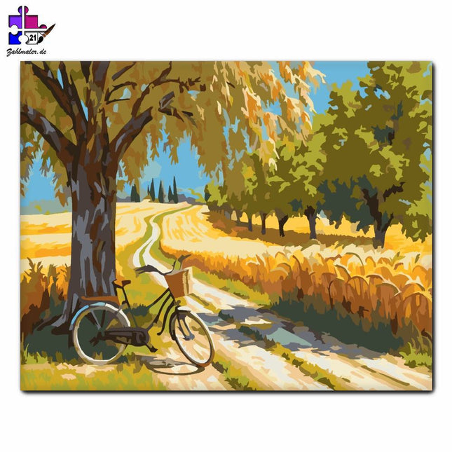 Goldenes Weizenfeld und Fahrrad | Malen nach Zahlen-Zahlmaler.de