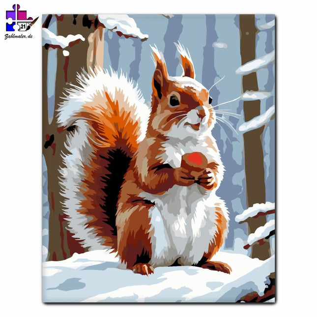 Rotes Eichhörnchen hält einen Schneeball | Malen nach Zahlen-Zahlmaler.de