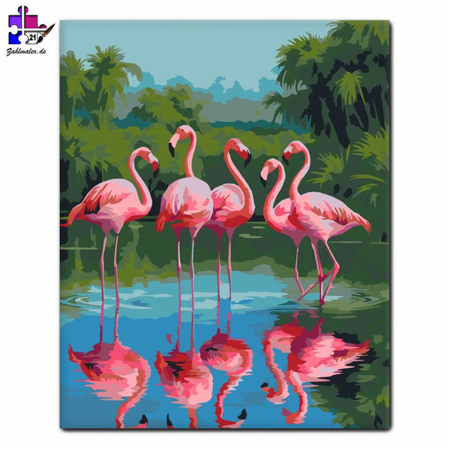 Rosa Flamingos in der flachen Lagune | Malen nach Zahlen-Zahlmaler.de