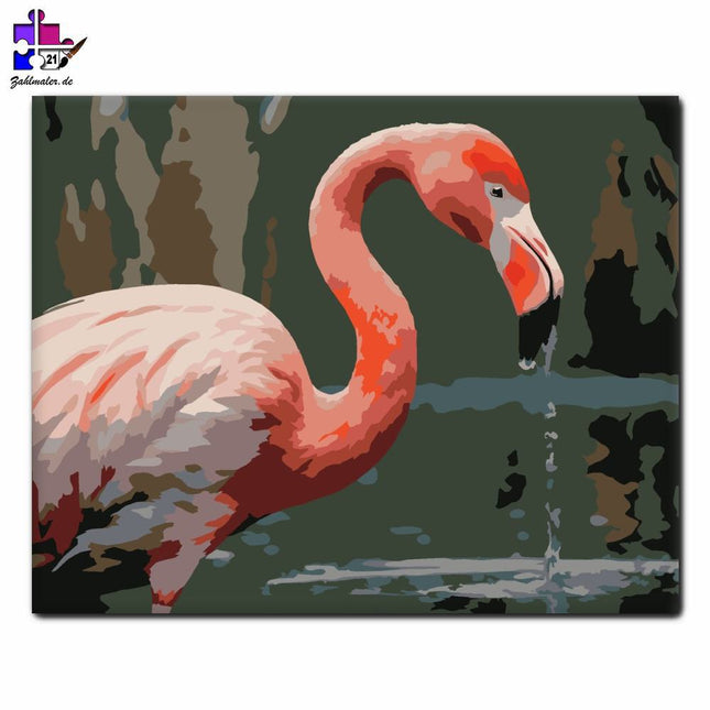Flamingo Nahaufnahme der Waterfront | Malen nach Zahlen-Zahlmaler.de