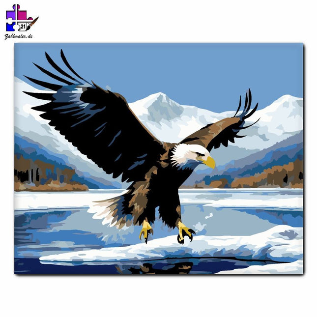 Weißkopfseeadler auf dem Eisigen See | Malen nach Zahlen-Zahlmaler.de