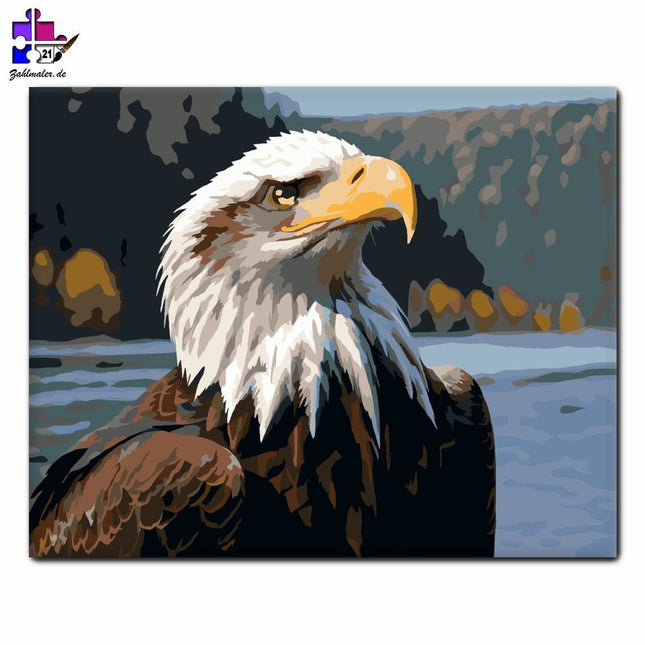 Adler am Flussufer | Malen nach Zahlen-Zahlmaler.de