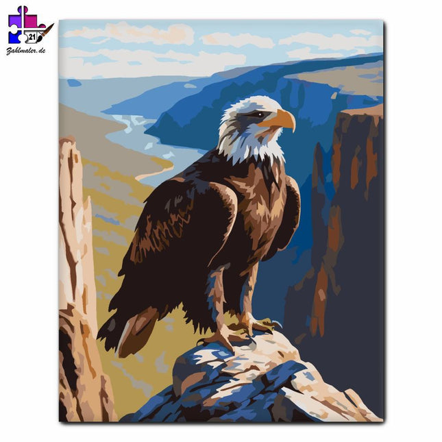 Junger Adler auf dem felsigen Aussichtspunkt | Malen nach Zahlen-Zahlmaler.de