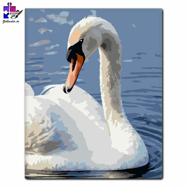 Schwan auf der kräuselnden Oberfläche | Malen nach Zahlen-Zahlmaler.de