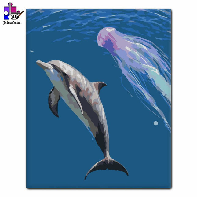 Neugieriger Delphin | Malen nach Zahlen-Zahlmaler.de