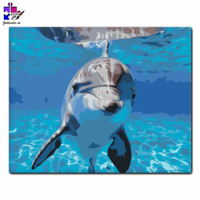 Lächelnder Delphin unter dem Wasser | Malen nach Zahlen-Zahlmaler.de