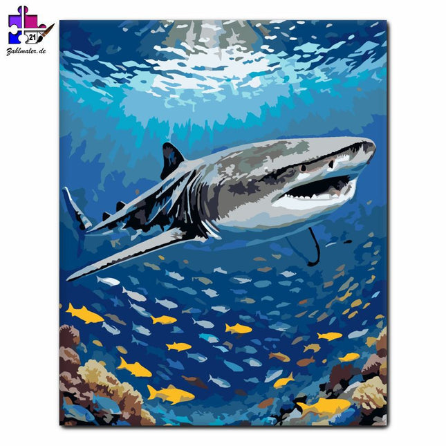Riesenhai am Korallenriff | Malen nach Zahlen-Zahlmaler.de