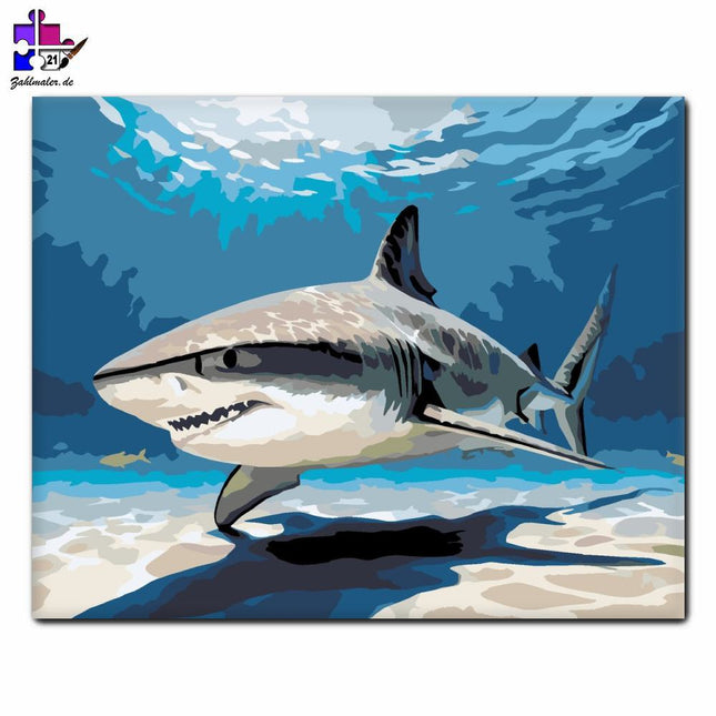 Hai auf dem Sonnenuntergang | Malen nach Zahlen-Zahlmaler.de