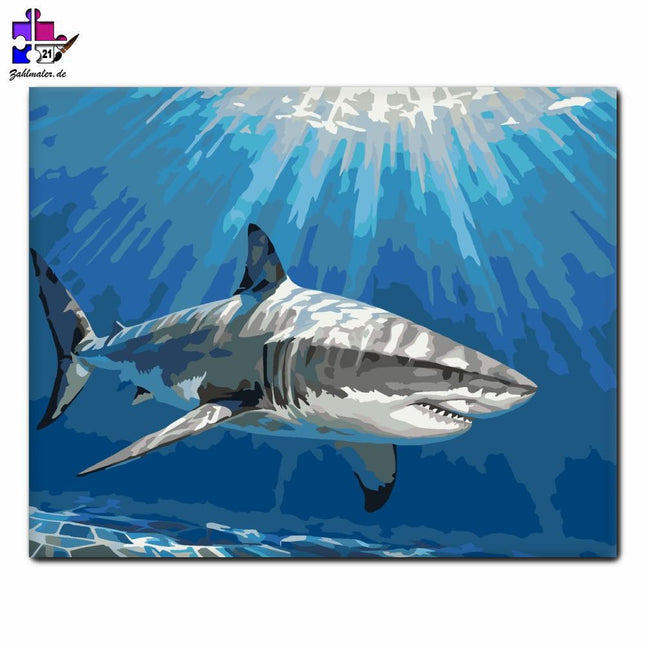 Weißer Hai unter der Wasseroberfläche | Malen nach Zahlen-Zahlmaler.de