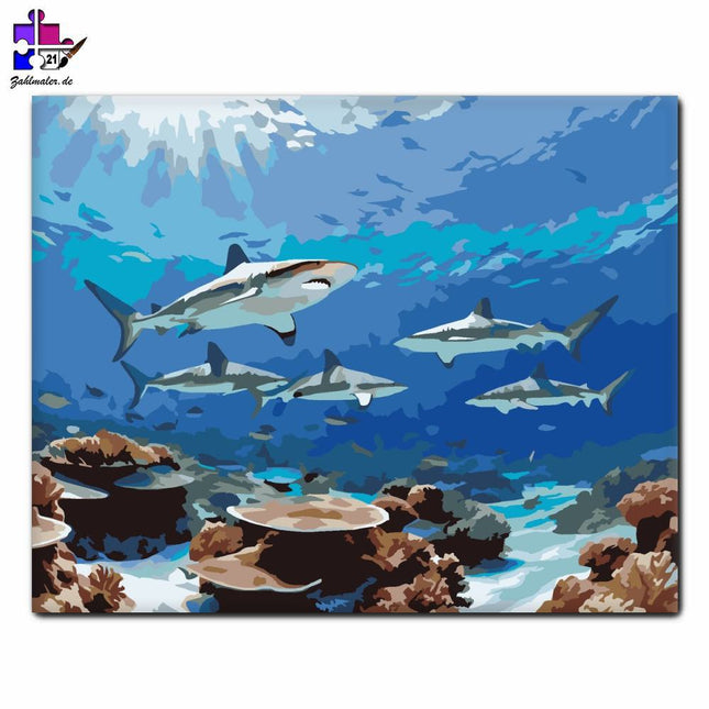 Haie in tropischen Gewässern | Malen nach Zahlen-Zahlmaler.de