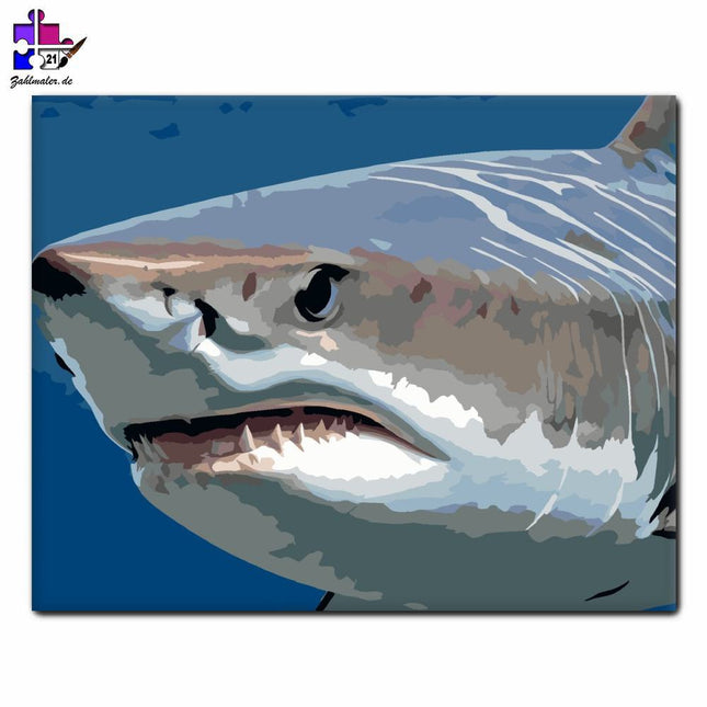 Tigerhai aus der Nähe | Malen nach Zahlen-Zahlmaler.de