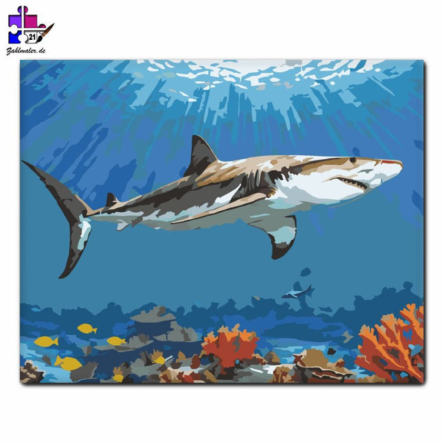 Weißer Hai oberhalb des Korallenriffs | Malen nach Zahlen-Zahlmaler.de