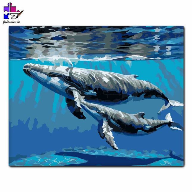 Wal und sein Kalb unter der Oberfläche | Malen nach Zahlen-Zahlmaler.de
