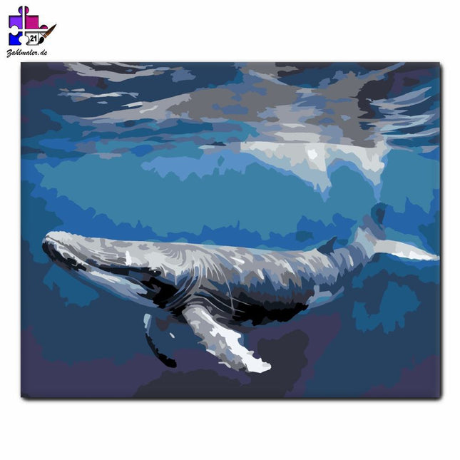 Buckelwal unter dem klaren Wasser | Malen nach Zahlen-Zahlmaler.de