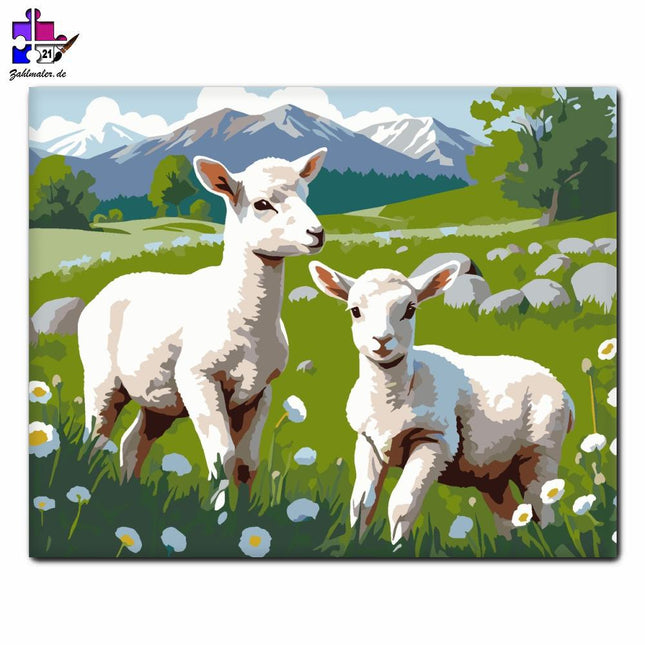 Lammküken an einem sonnigen Tag | Malen nach Zahlen-Zahlmaler.de